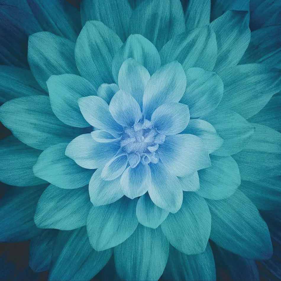 Dream Big by Hoffman in Teal